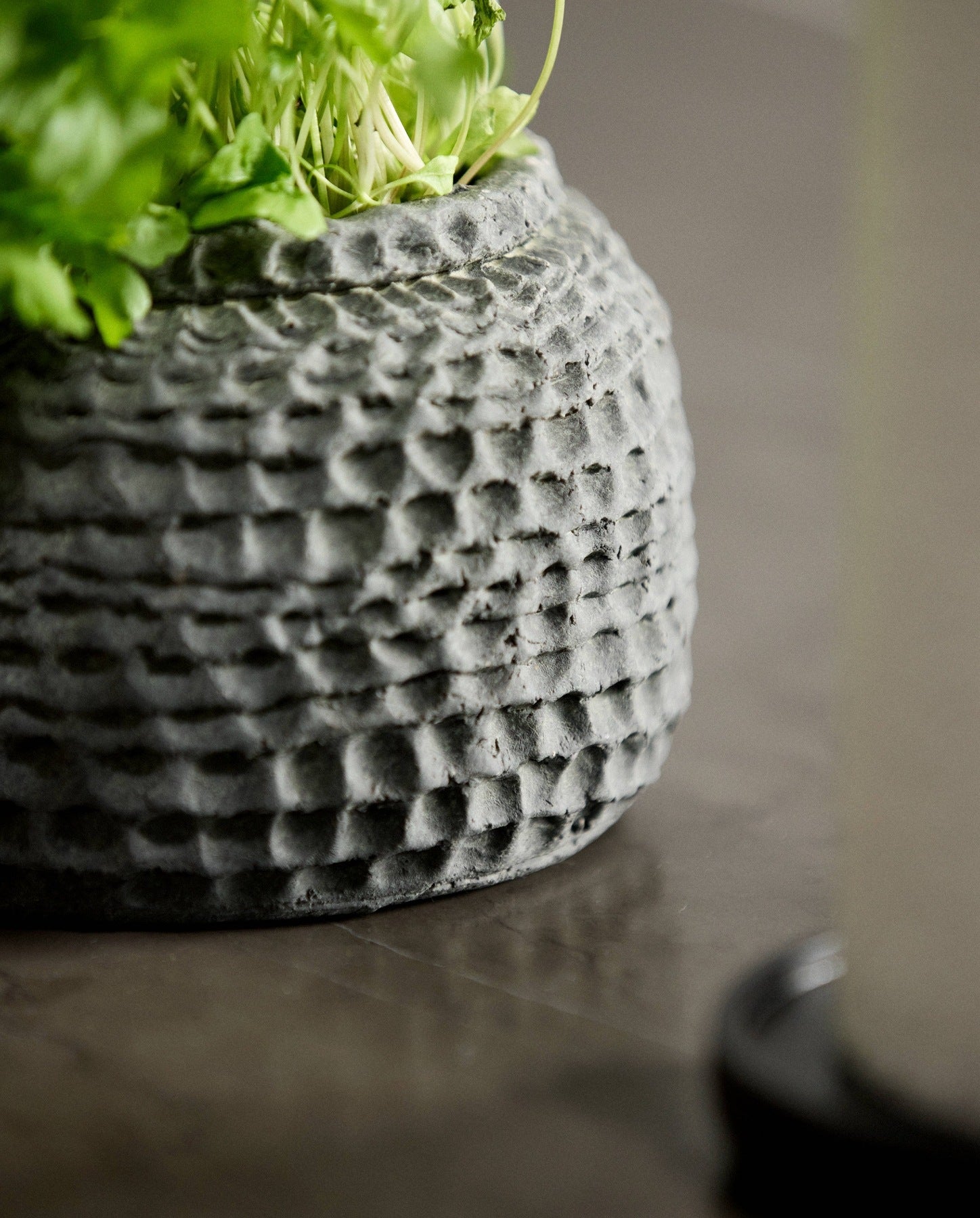 AOBA krukke i cement, L - Grå