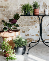 CIRA urtepotte - h18 cm - sort - nordal.dk