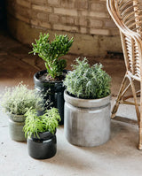 ISA urtepotte i keramik - ø25 cm - lys grå - nordal.dk