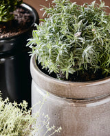 ISA urtepotte i keramik - ø25 cm - lys grå - nordal.dk