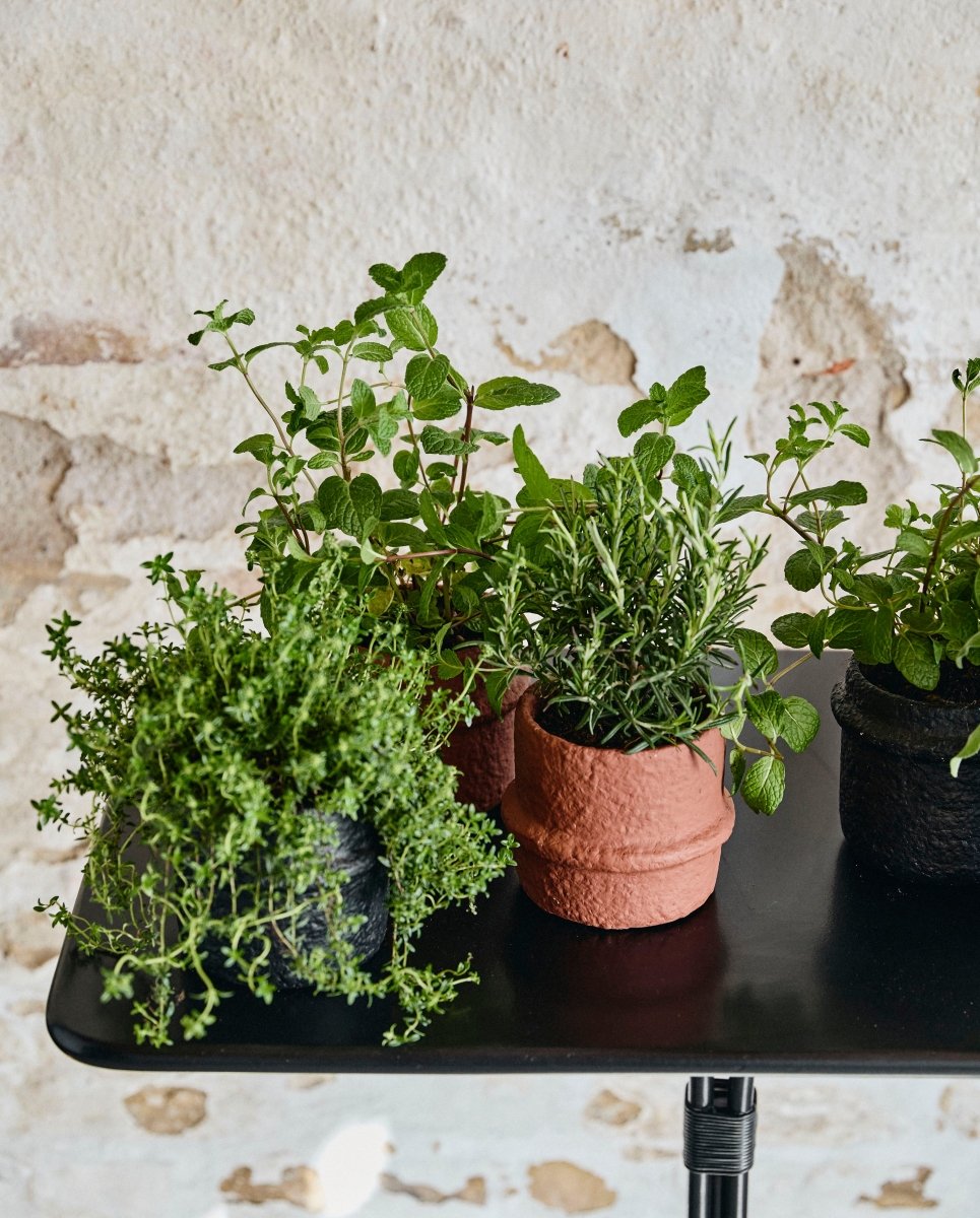 ROTE urtepotte i cement, no. 2 - rust - nordal.dk