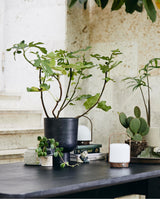 TROY transportabel lampe