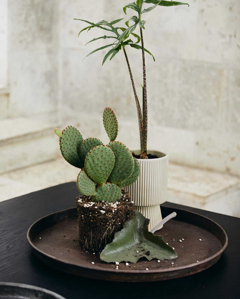 LOMBOK fad i jern, L, antik - sølv finish