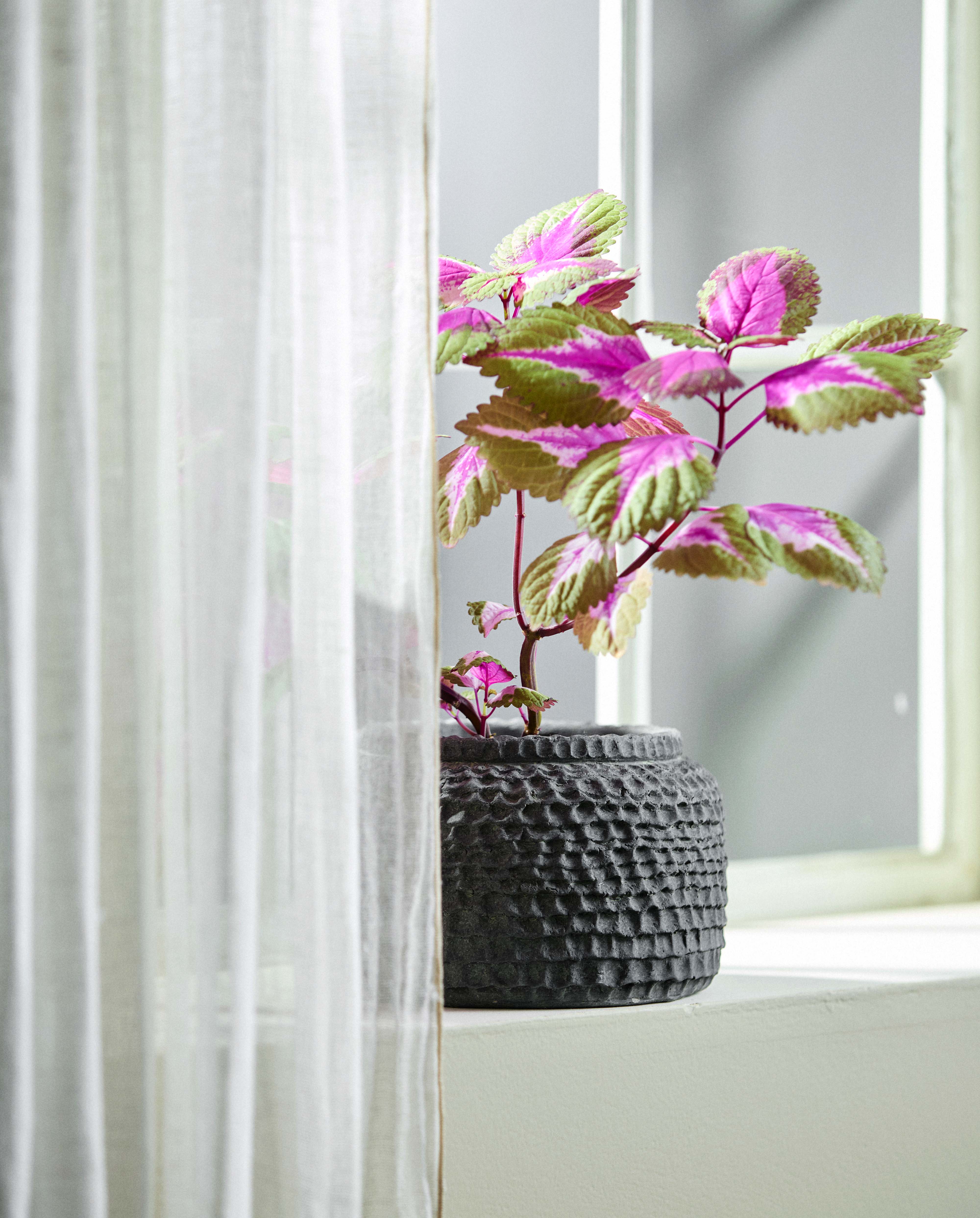 AOBA krukke i cement, M - Grå