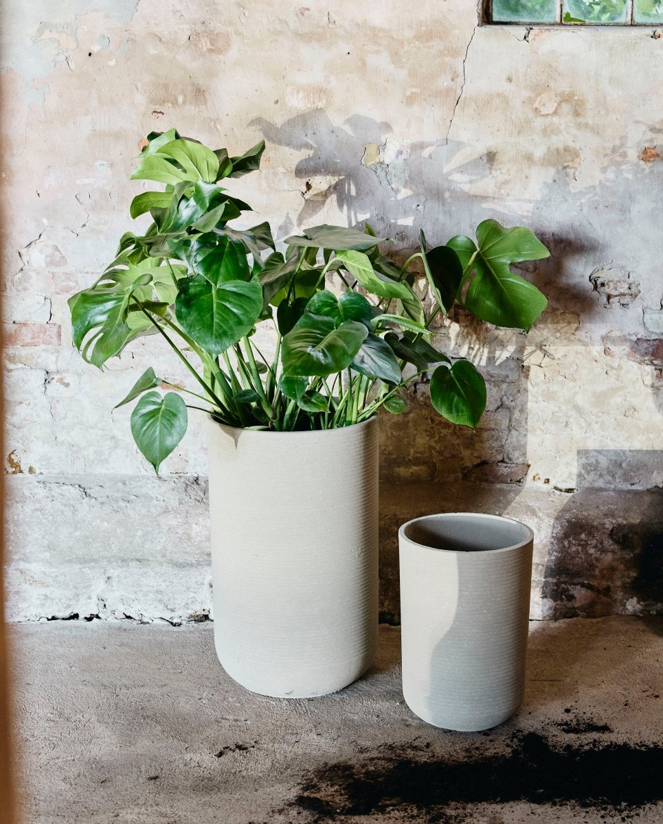 GRANITO urtepotter - 2 stk. - h60/40 cm - creme - nordal.dk