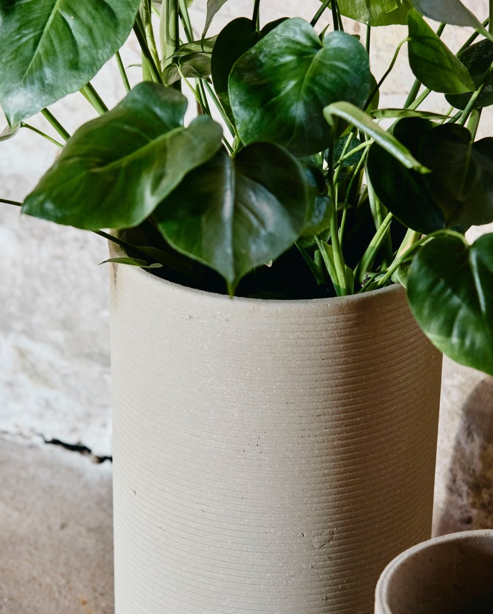 GRANITO urtepotter - 2 stk. - h60/40 cm - creme - nordal.dk