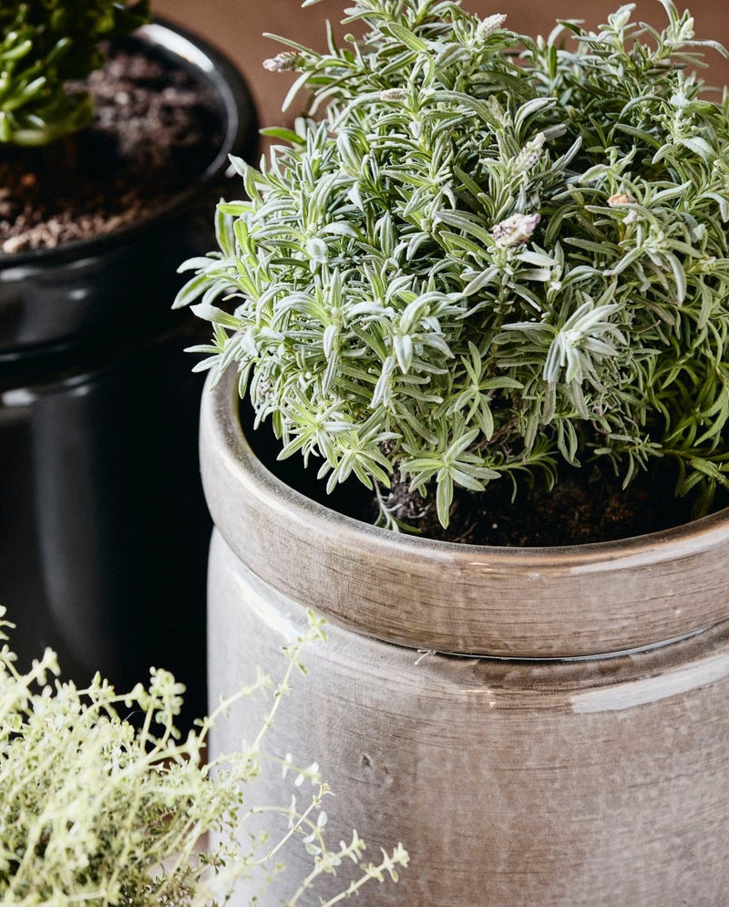 ISA urtepotte i keramik - ø25 cm - lys grå - nordal.dk