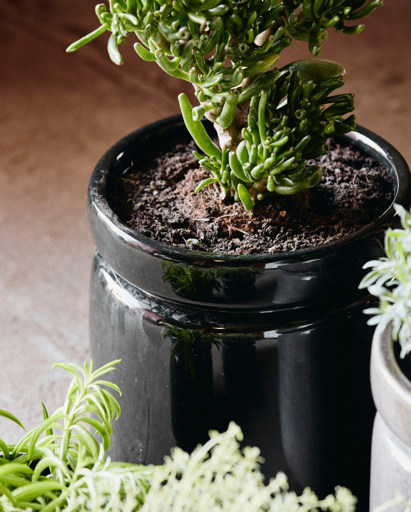 ISA urtepotte i keramik - ø25 cm - sort - nordal.dk