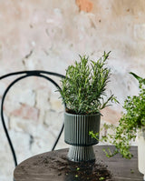 MULL urtepotte i stentøj - small - ø10 cm - blågrå - nordal.dk