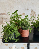 ROTE urtepotte i cement, no. 1 - rust - nordal.dk