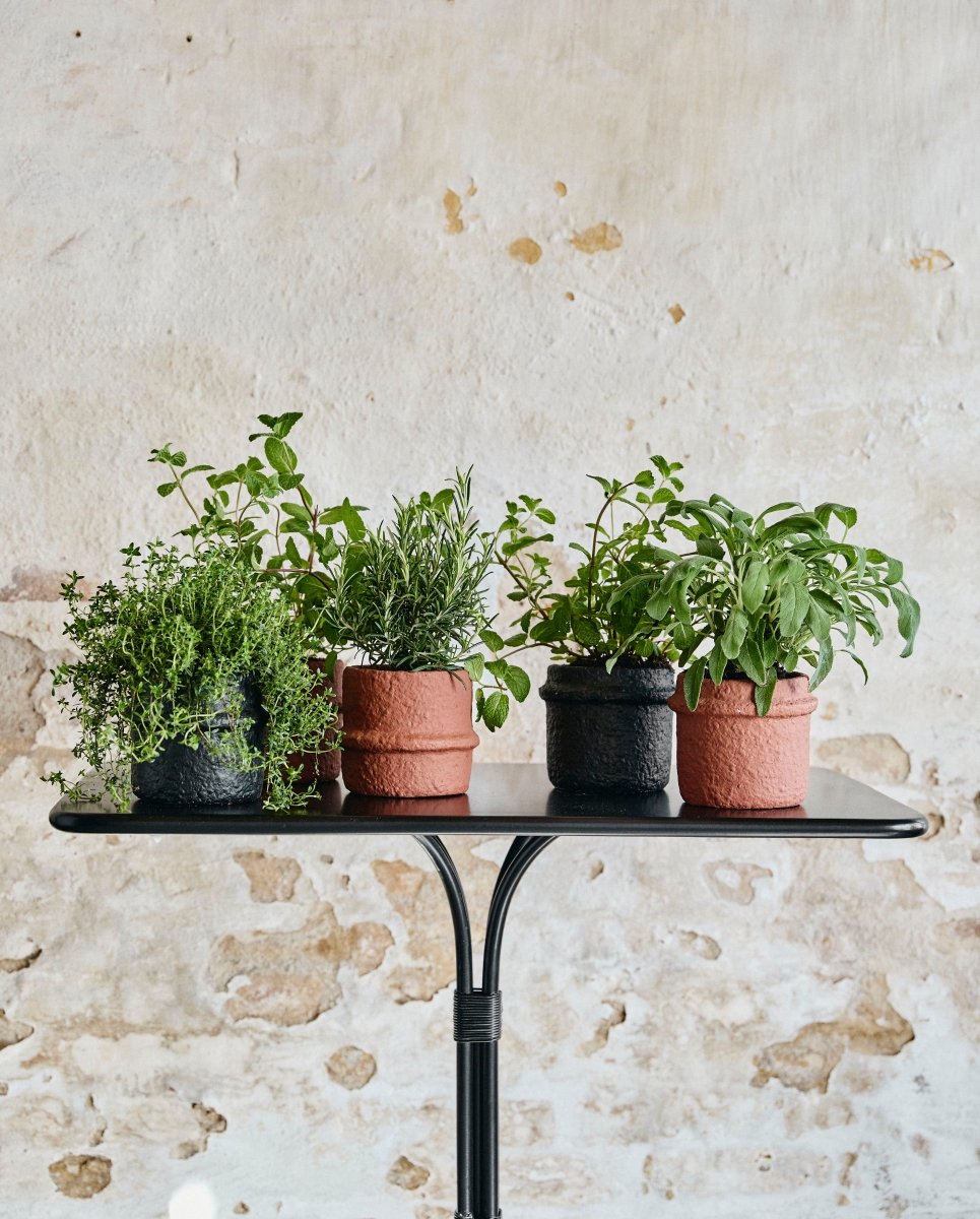 ROTE urtepotte i cement, no. 1 - sort - nordal.dk