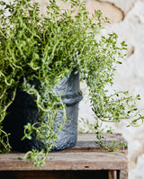 ROTE urtepotte i cement, no. 1 - sort - nordal.dk