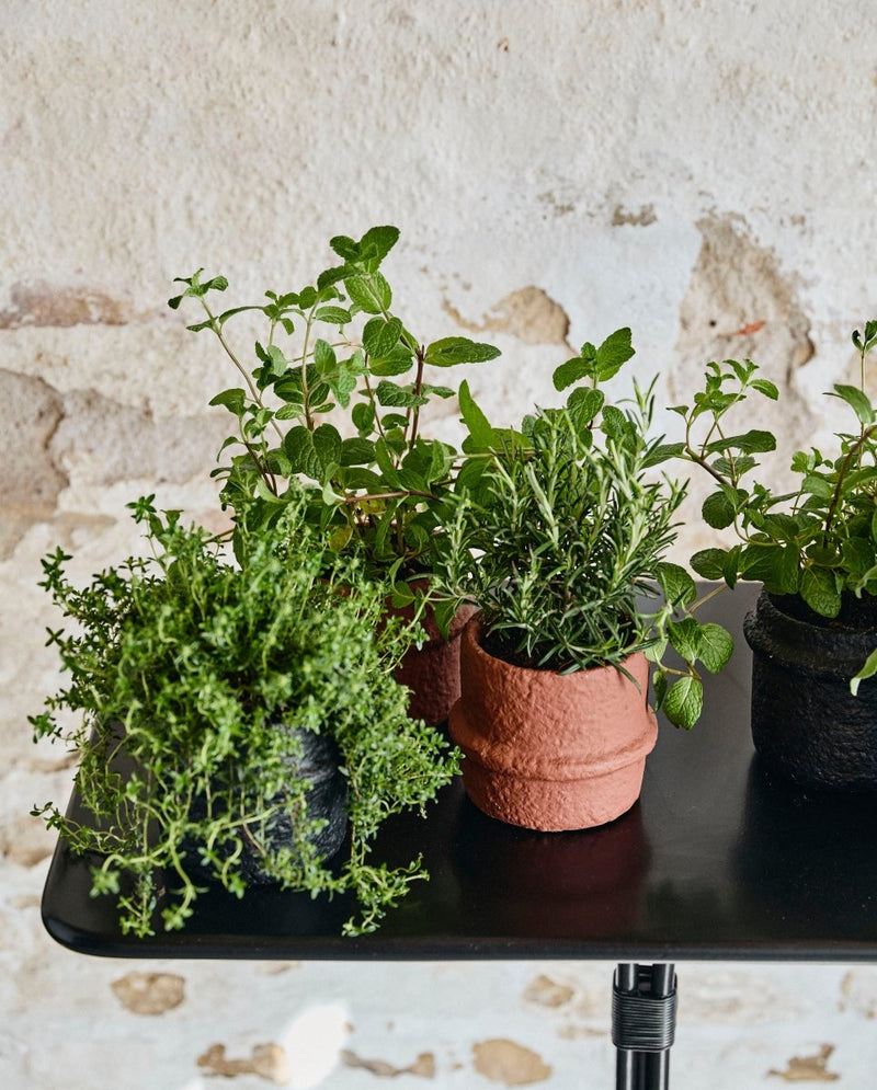 ROTE urtepotte i cement, no. 2 - rust - nordal.dk