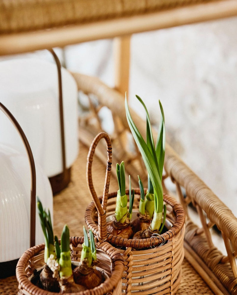 ZADAR fletkurv i rattan - ø10 cm - natur - nordal.dk