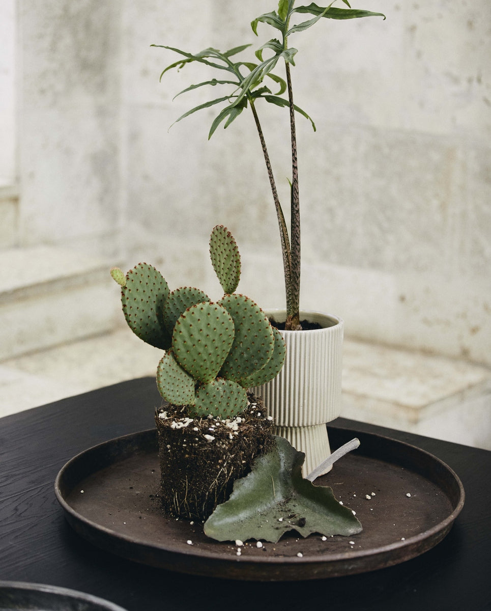 LOMBOK fad i jern, M, antik - sølv finish